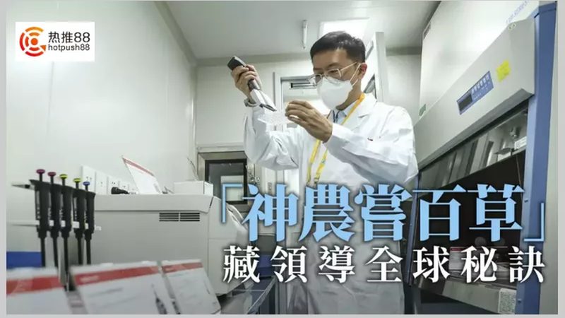 核酸提取试剂：分类方法解析与选购要点**