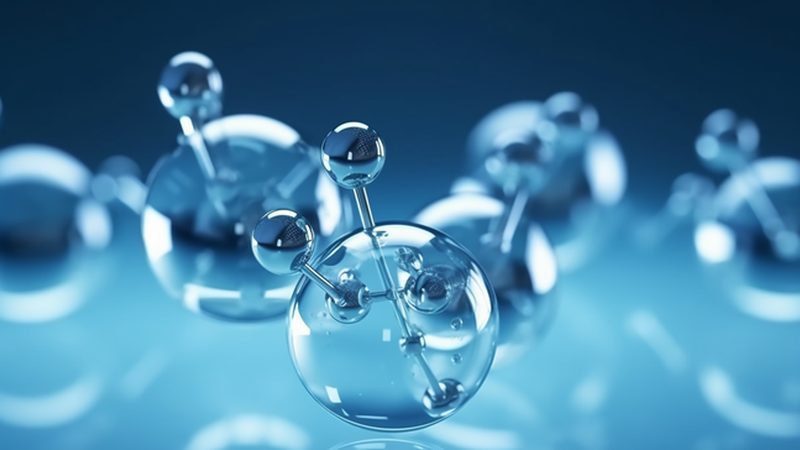 D细胞培养流程解析：关键步骤与注意事项