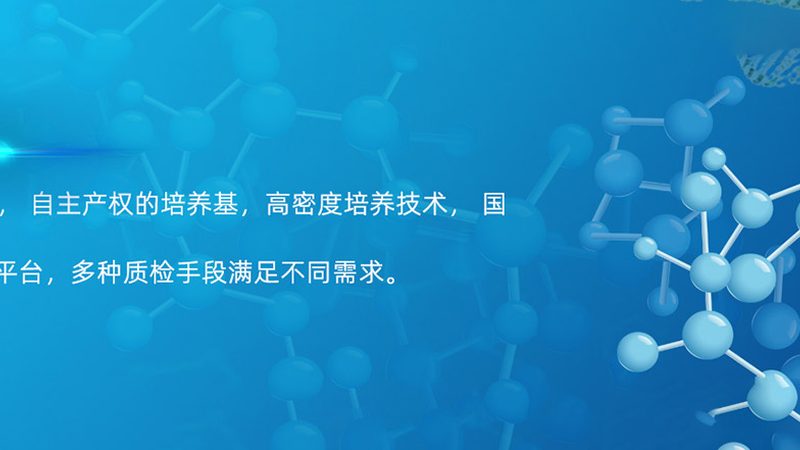 PCR实验室防污染设计：关键要点与实施策略