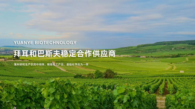 上海生物医药研发企业规模排名：揭秘行业领军力量**