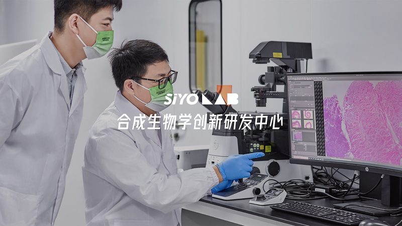 生物实验室装修：如何选择靠谱的合作伙伴？**