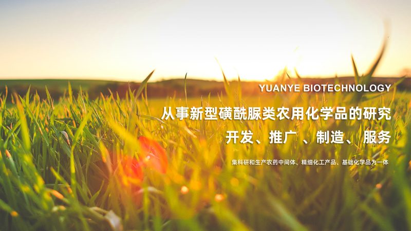如何打造高效的CRO优化团队：关键要素与团队推荐