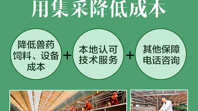 新药研发：风险评估的五大关键点