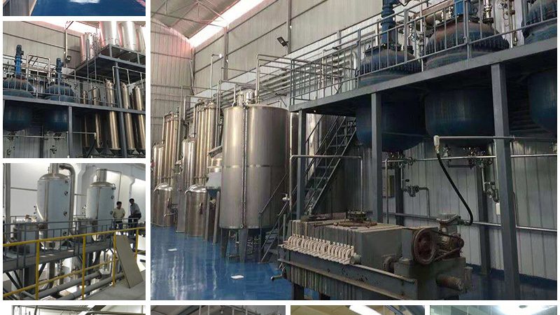 细胞治疗产品申报指南：质量标准解析