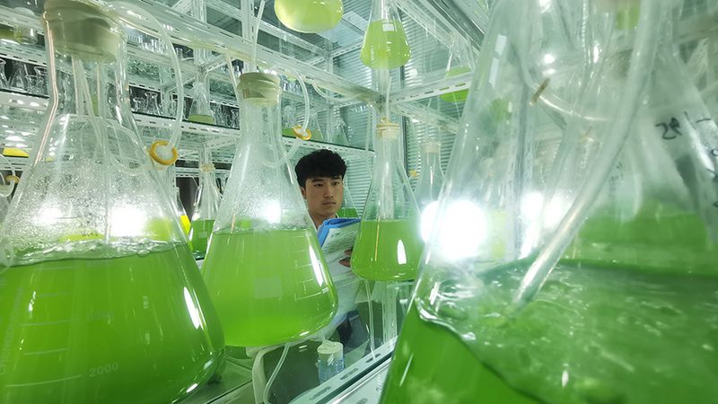生物医药基地招商加盟：揭秘加盟背后的关键因素**